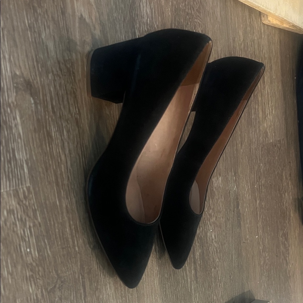 Madewell “rivka” Women's Block Heel  pointy toe pumps Shoes